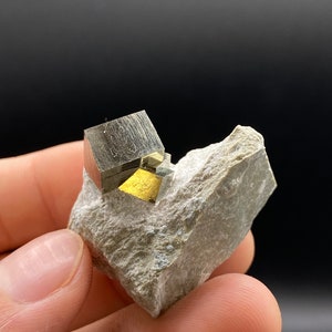 Inter-grown Pyrite Cubes on Matrix