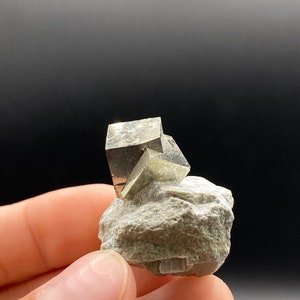 Inter-grown Pyrite Cubes on Matrix