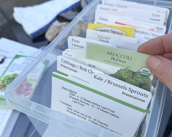 Vegetable Seed Packet Dividers – Printable  Cards w/Tabs | DIY Organizer Inserts (PDF) |Seed Starting Guide