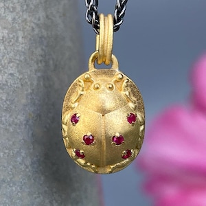 May include: A gold pendant necklace with a ladybug design. The ladybug is adorned with red gemstones. The necklace is on a black chain.