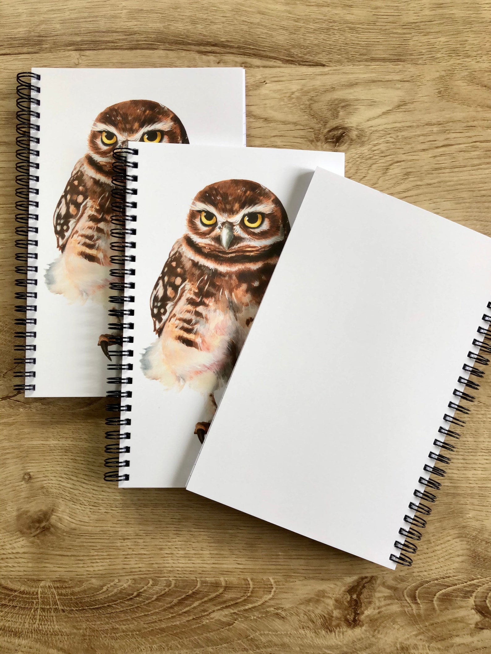 BURROWING OWL NOTEBOOK Spiralbound Notebook Stationary Etsy Singapore