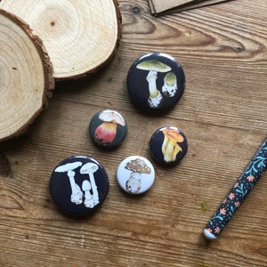 Mushroom magnets, magnets 5 pack