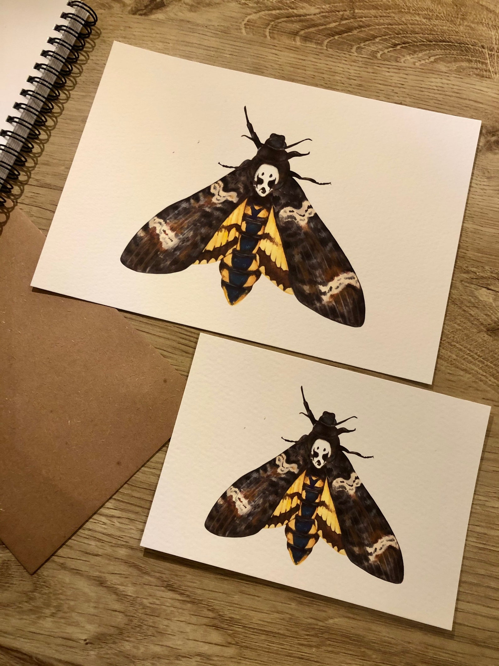 DEATHS HEAD MOTH art print moth watercolour print insect | Etsy