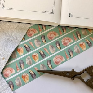 SEASHELL WASHI TAPE, 15mm tape, seashell tape, adhesive tape, paper tape, decorative tape, scrapbooking tape, journaling tape, seashell art