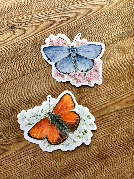 clear sticker laptop decal butterfly sticker Butterflies sticker duo