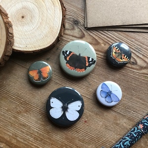 Butterfly magnet pack, refrigerator magnets, 5 pack