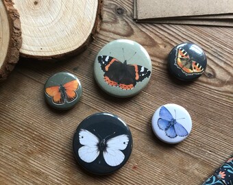 Butterfly magnet pack, refrigerator magnets, 5 pack