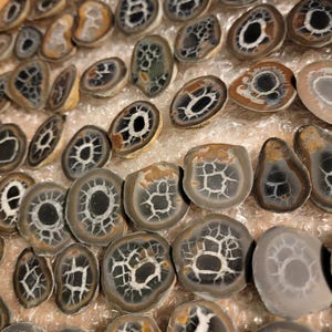 May include: A collection of polished, oval-shaped stones with intricate patterns. The stones feature a mix of colors, including brown, gray, and white, with a central dark area and a web-like design. The stones are arranged in a box.