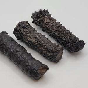 May include: Three dark brown, textured, cylindrical objects are arranged diagonally on a white surface. The objects have a rough, organic appearance, with a bumpy, irregular surface. The lighting highlights the texture and shape of the objects.
