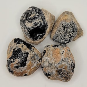May include: Four polished black obsidian stones with tan and gray matrix. The stones have a smooth, rounded shape and vary in size. The obsidian has a glossy, reflective surface.