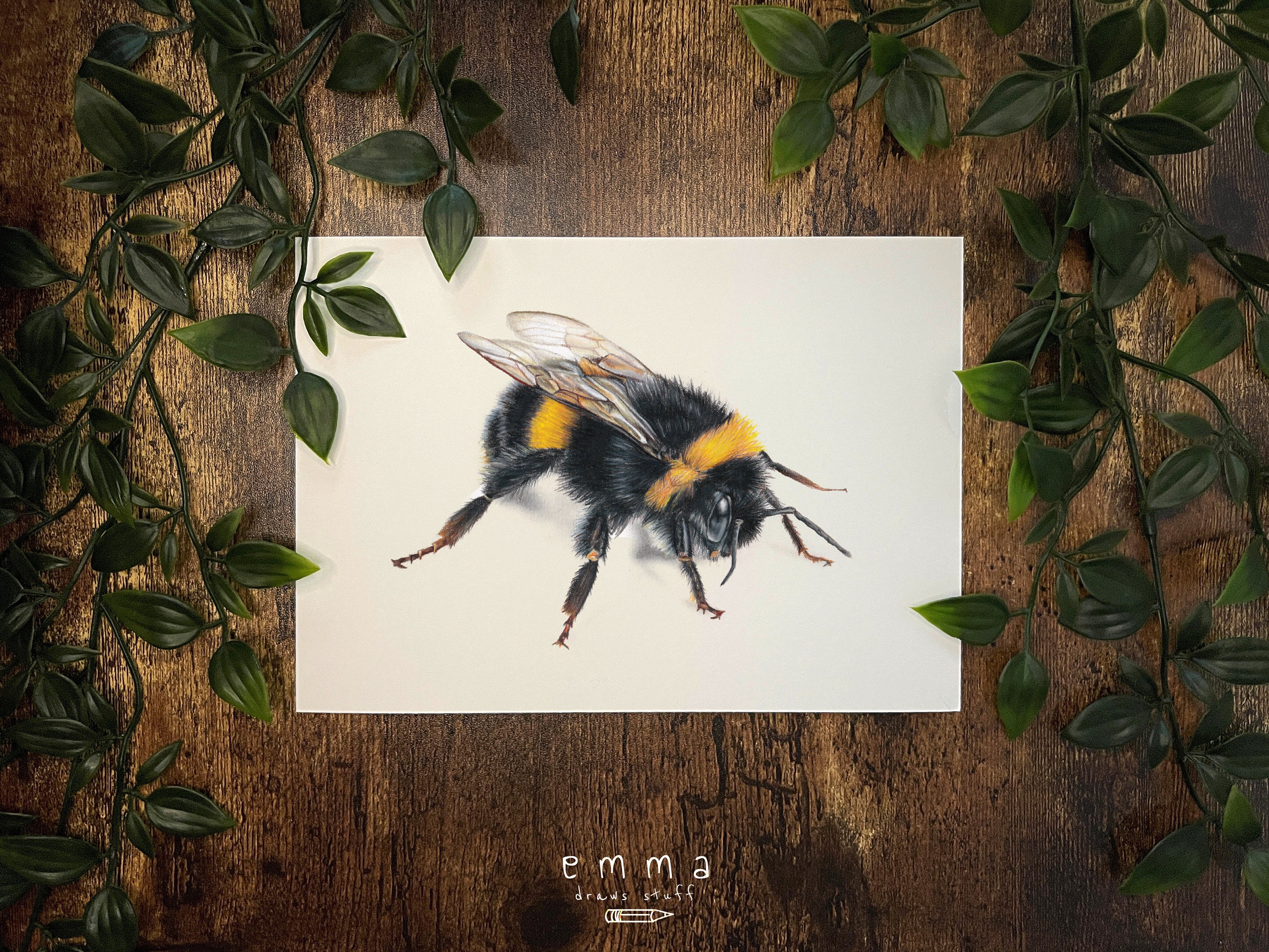 A3|A4|A5 Bee Roosting in the Rain Giclee Print