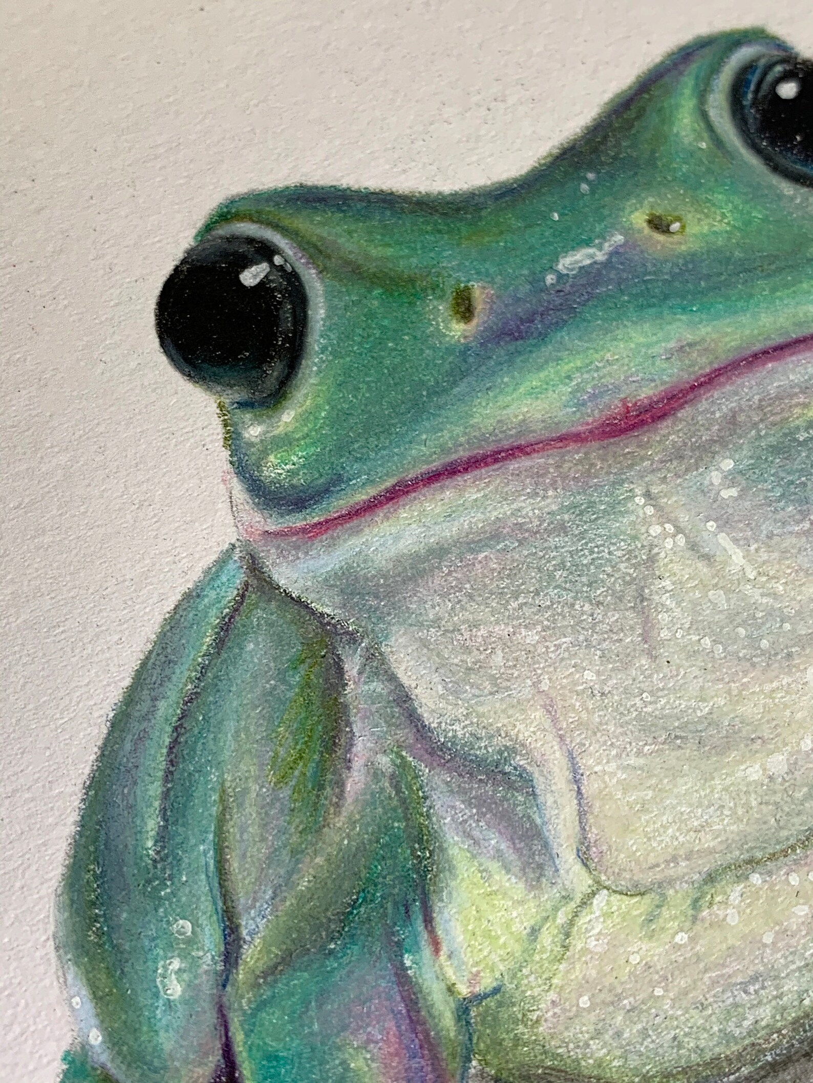 A5 Cute Frog Colored Pencil Print Etsy