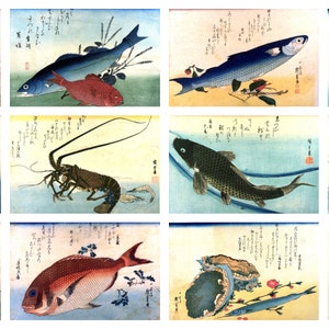 12 x antike japanische Fisch-Postkarten – ein Set von 12 einzelnen Postkarten. Reproduktionskunstpostkarten - hochwertiger, matter 300g-Fotokarton