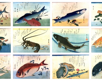 12 x Antique Japanese fish postcards – a set of 12 individual 19th c. reproduction art postcards - premium-quality 300gsm matte photo card