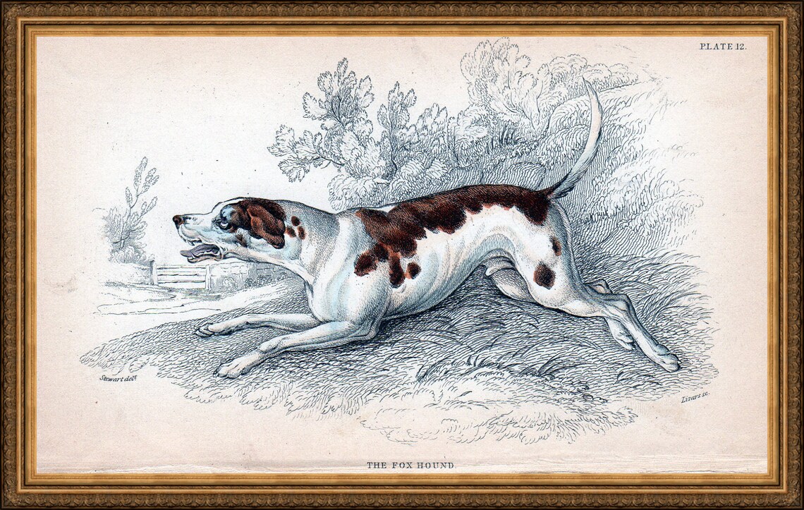 6 X A4 Antique Hunting Dog Prints a Set of Six Individual - Etsy UK
