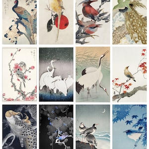 12 x cartes postales japonaises anciennes d'oiseaux - un lot de 12 individuelles du 19e siècle reproduction de cartes postales artistiques - carte photo mate de qualité supérieure, 300 g