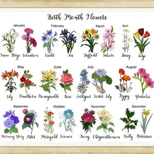 Wandkaart geboortebloemen, A4/A3-reproductie fine-art print. Wandposter, zwaar papier