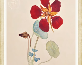 Hilma af Klint