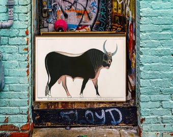 Giovanni Belzoni, The Apis Bull by (1778-1823) museum-quality 250gsm matte paper giclée print /art canvas / unframed / framed