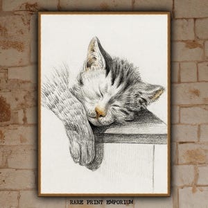 Jean-Bernard, Sleeping Cat, c.1790,  museum-quality 250gsm matte paper giclée print /art canvas / unframed / framed