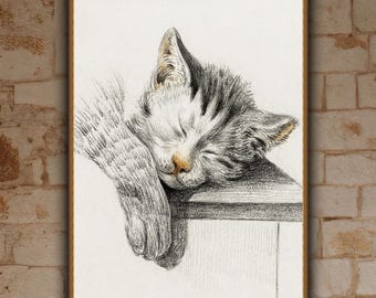 Jean-Bernard, Sleeping Cat, c.1790,  museum-quality 250gsm matte paper giclée print /art canvas / unframed / framed