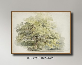 George Andries Roth, Boomstudie (1809–1887), INSTANT DOWNLOAD ultra-hi-res XL 300dpi print-ready digital files in 5 ratios