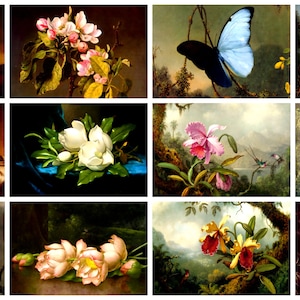 12 cartoline di Martin Heade-Johnson: un set di 12 mini-stampe artistiche riprodotte in formato cartolina - carta fotografica opaca da 300 gsm di qualità premium