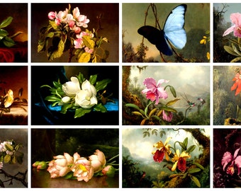 12 x Martin Heade-Johnson postcards – a set of 12 reproduction art postcard-sized mini-prints -  premium-quality 300gsm matte photo card