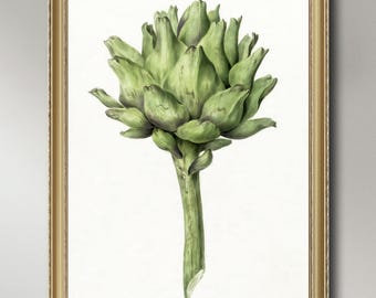 Jean-Bernard, Artichoke,  c. 1775, INSTANT DOWNLOAD ultra-hi-res XL 300dpi print-ready digital files in 5 ratios