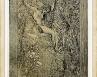 Gravure Art Nouveau vintage (#058) – une rare estampe d’art allemande 'Jugendstil' de la fin du 19ème siècle. A4 / A3 Papier d’art lourd, encres d’archives