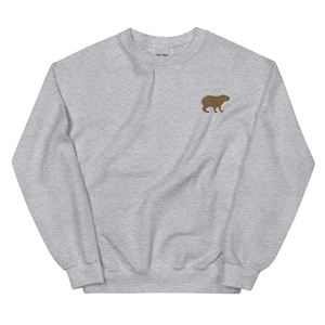 Capybara Sweatshirt, Embroidered Unisex Sweatshirt, Capybara Gifts, Birthday, Christmas.