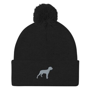 Blaue Spitzen Mütze, gestickte Pom-Pom Mütze, blaue Spitzen Geschenke, Hund Kindermütze, Geburtstag, Weihnachtsgeschenke.