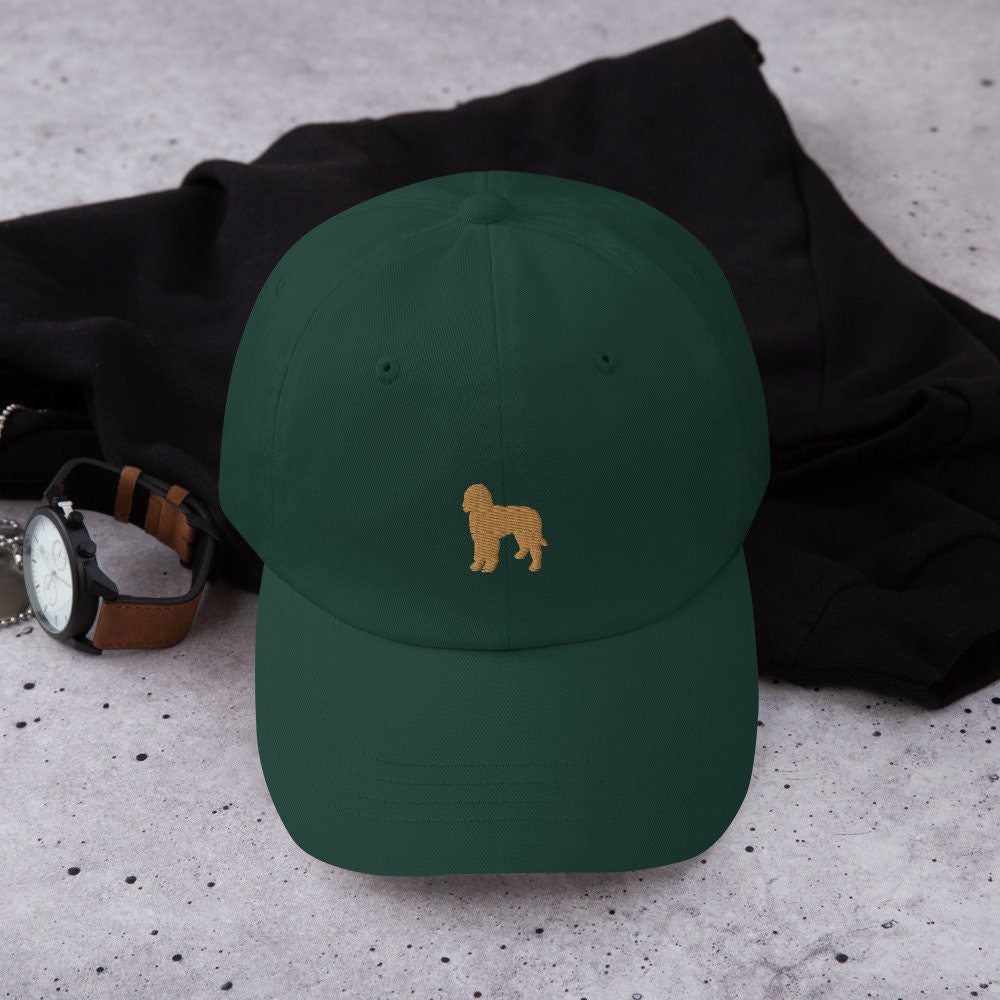 Labradoodle hat top