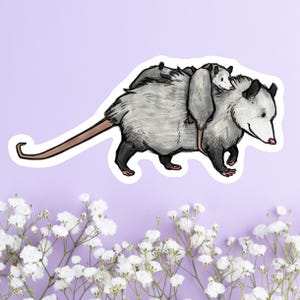 Adorable autocollant imperméable en vinyle pour maman opossum