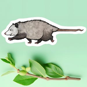 Adorable autocollant en vinyle imperméable à l'eau d'opossum au trot