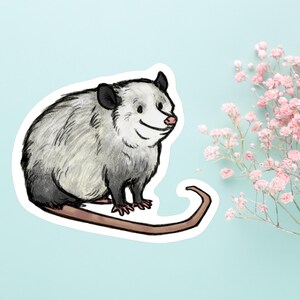 Adorable autocollant rond en vinyle imperméable opossum