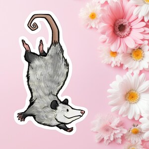 Adorable autocollant en vinyle imperméable opossum suspendu