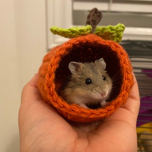 May include: A small hamster in a crocheted pumpkin-shaped bed. The bed is orange and has green leaves on top. The hamster is brown and white and has black eyes.