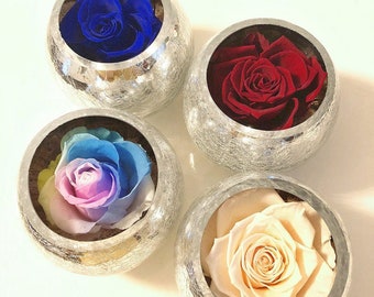 Pride Love | Crystal Table Decor - made with Real Preserved Forever Rose - Gift for Her, Valentine's Day Mother's Day Gift