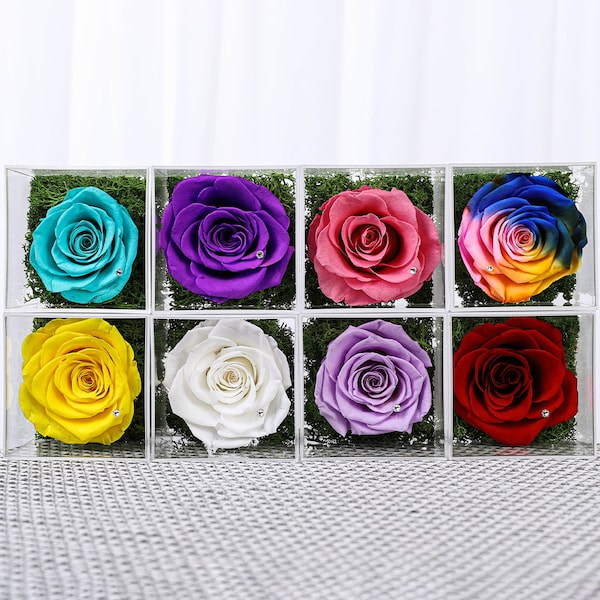 Table Décor Enchanted Real Preserved Forever Rose in Clear Acrylic Box,  Eternity Flower, Mother’s Day, Valentine's Day Special Gift for Her