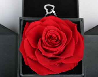 REAL Preserved Forever Rose Ring Box Unique Birthday Anniversary Engagement Gift, Valentine's Day Gift Mother's Day Gift
