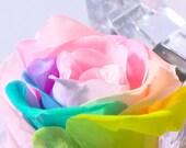 Articolo da questo negozio