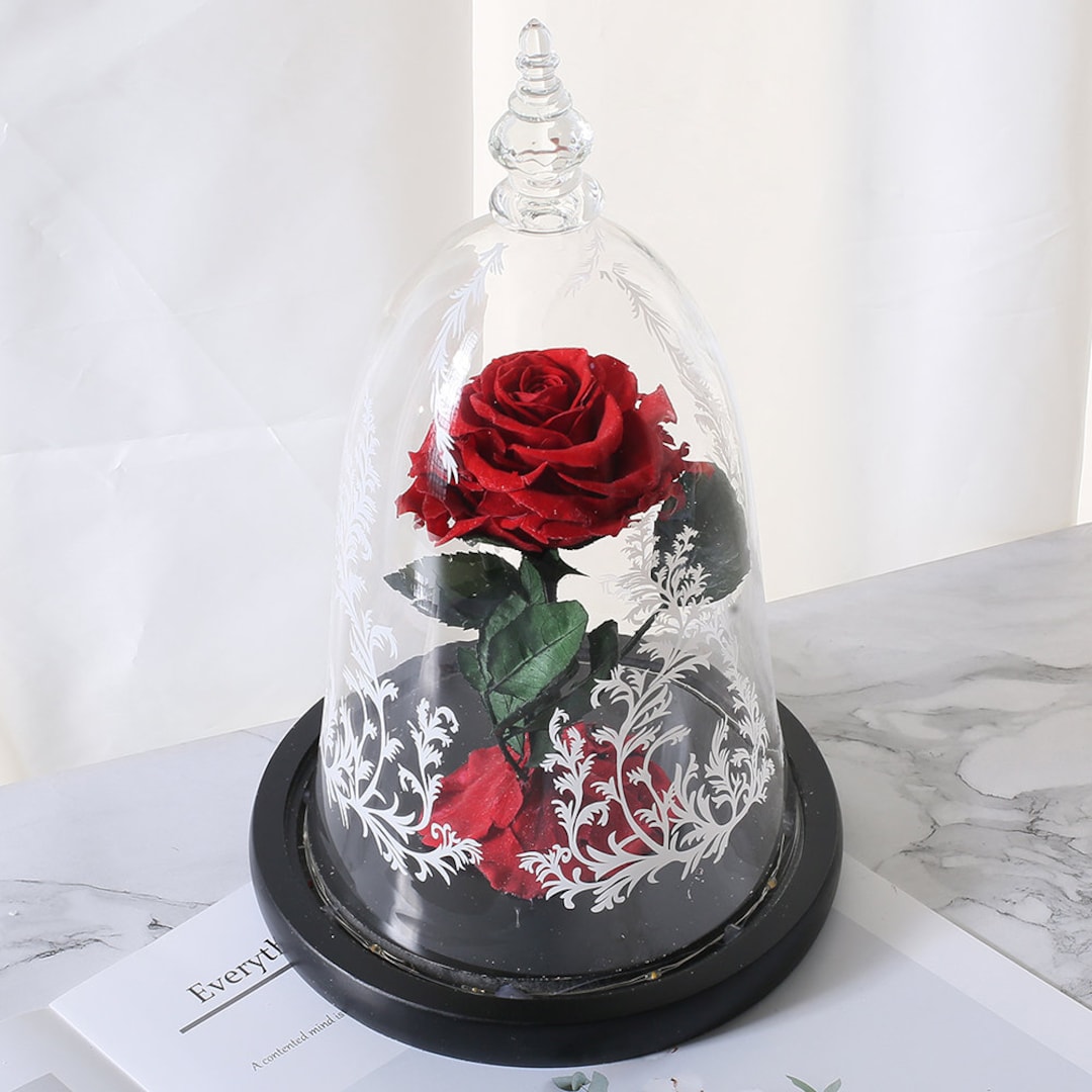 England Roses Prop Forever Rose in Glass Dome: Beauty and the Beast Prop - Etsy UK