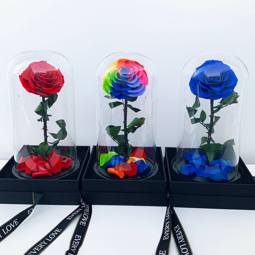 Real Preserved Rose in Glass Dome - Forever Flower Gift - Etsy