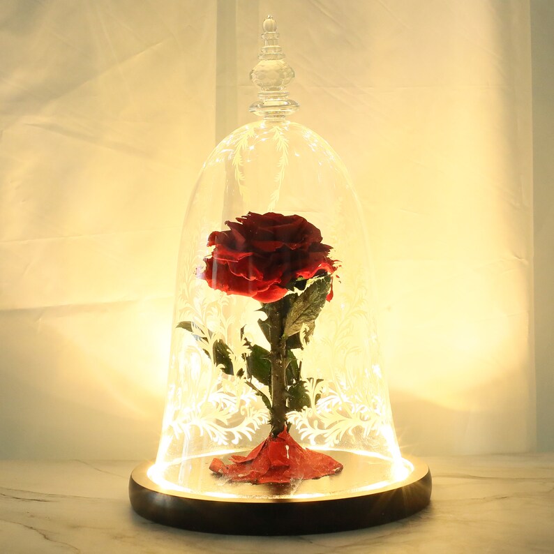 Beauty and The Beast Movie Prop with LED light Forever Roses Etsy