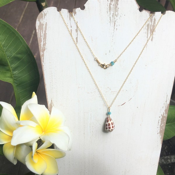 Cone Shell Jewelry Etsy