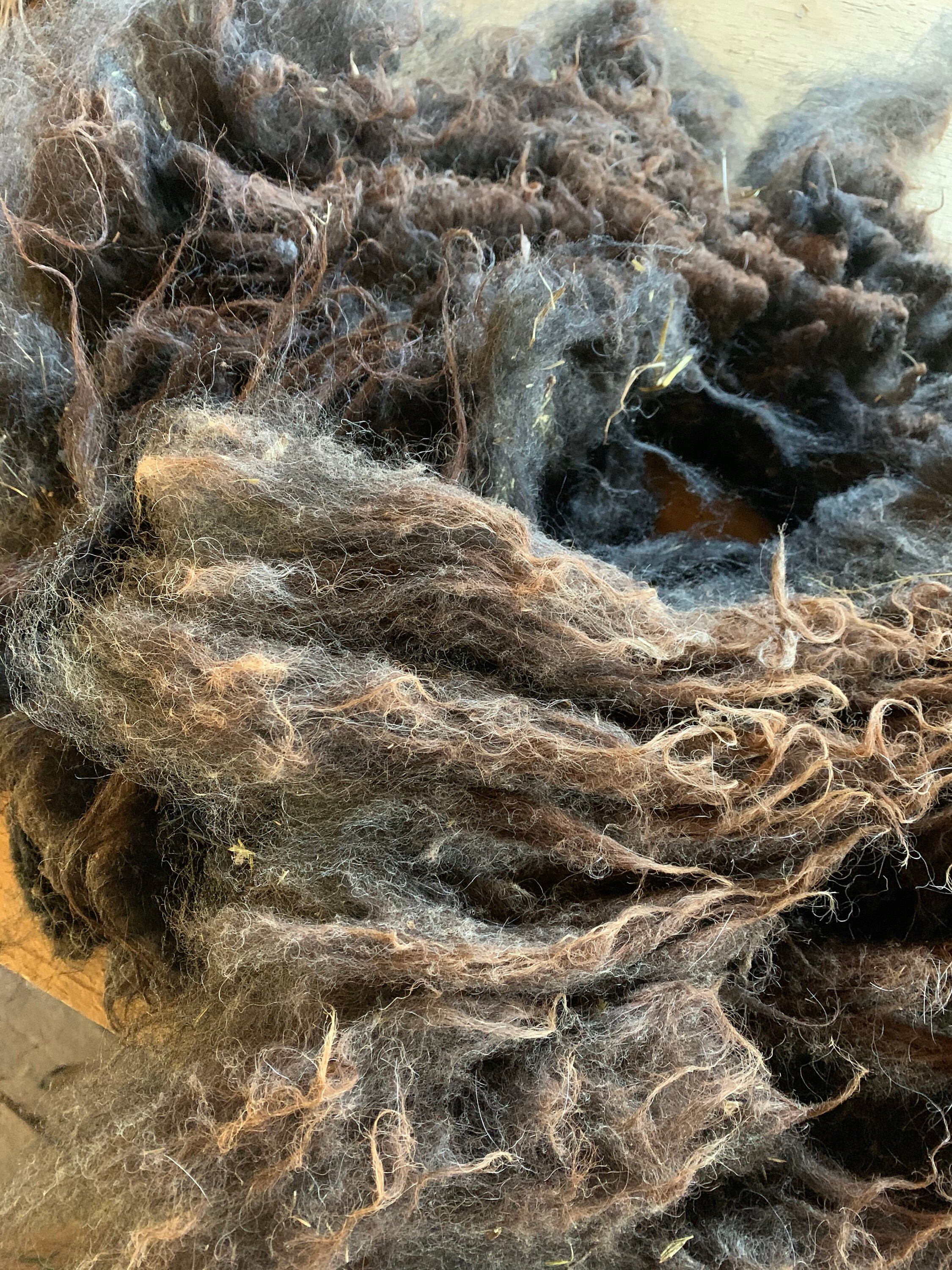 Raw Wool Etsy
