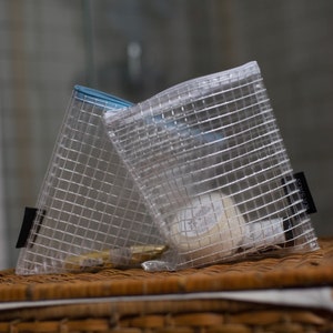 Set de rangement pour salle de bain, Set de cosmétiques transparents, Trousse à cosmétiques transparente, Trousse de toilette élégante, Trousse de maquillage en filet, Élégante trousse d'aéroport