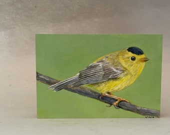 Wilson's warbler, new world warbler painting, original oil on wood painting, small bird, shellac on sides, cradle in back, 6"Lx4"Hx1"D