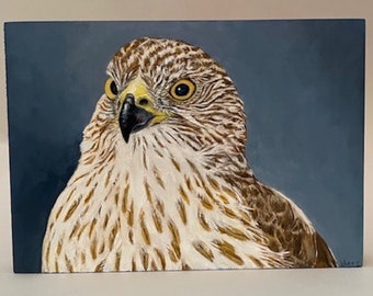 Red-tailed Hawk portrait painting, bird art, hand painted with original oil on wood, cradle in back to hang, shellac on sides, 7"Lx5"Hx1"D